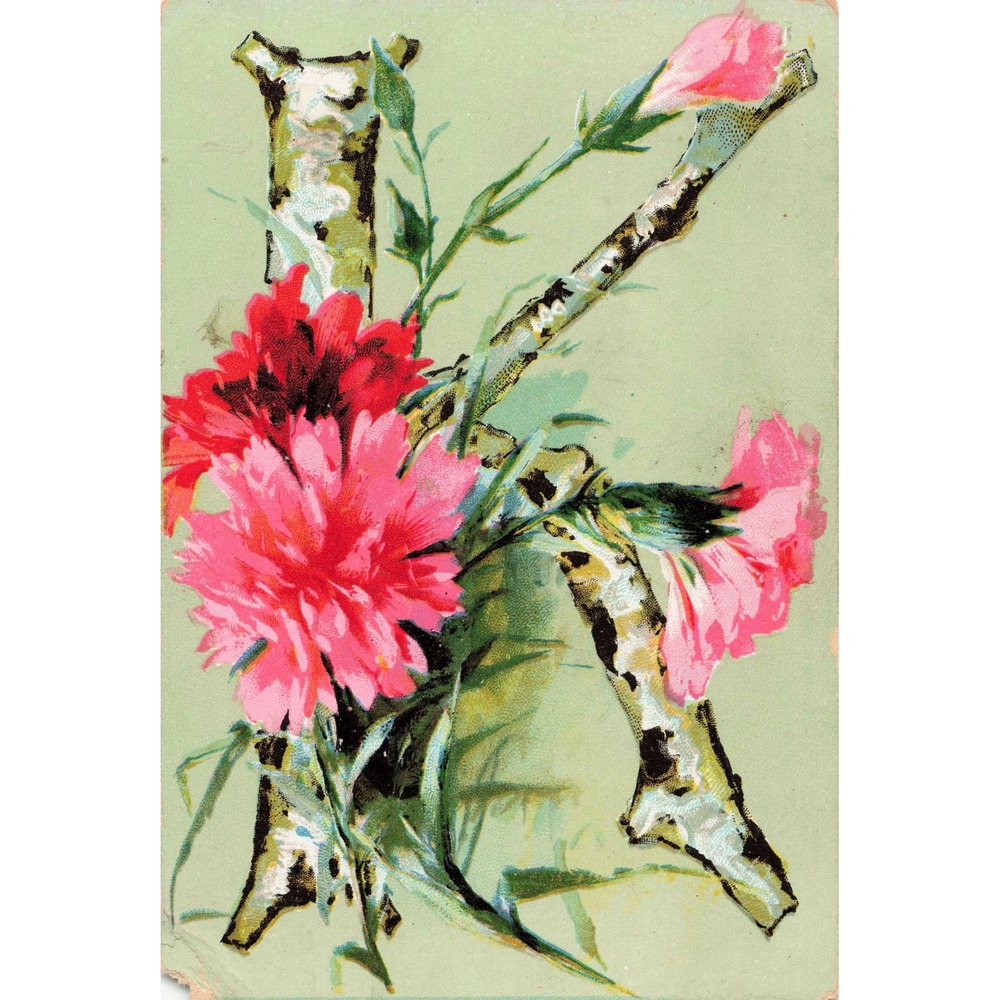 Antique Floral Alphabet Letter K Postcard Birch Branch Carnations Embossed c1910